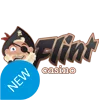 Логотип Flint